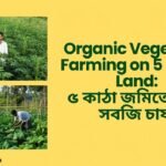 organic farming