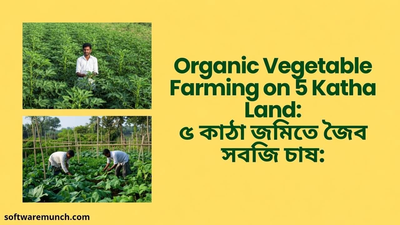 organic farming